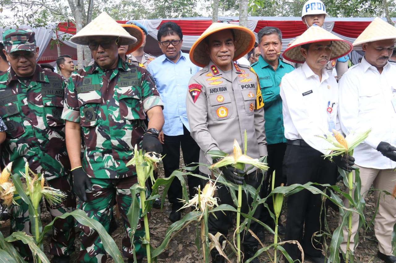 Kapolda Sumsel Panen Raya Jagung di Ogan Ilir, Pekuat Program Ketahanan Pangan 