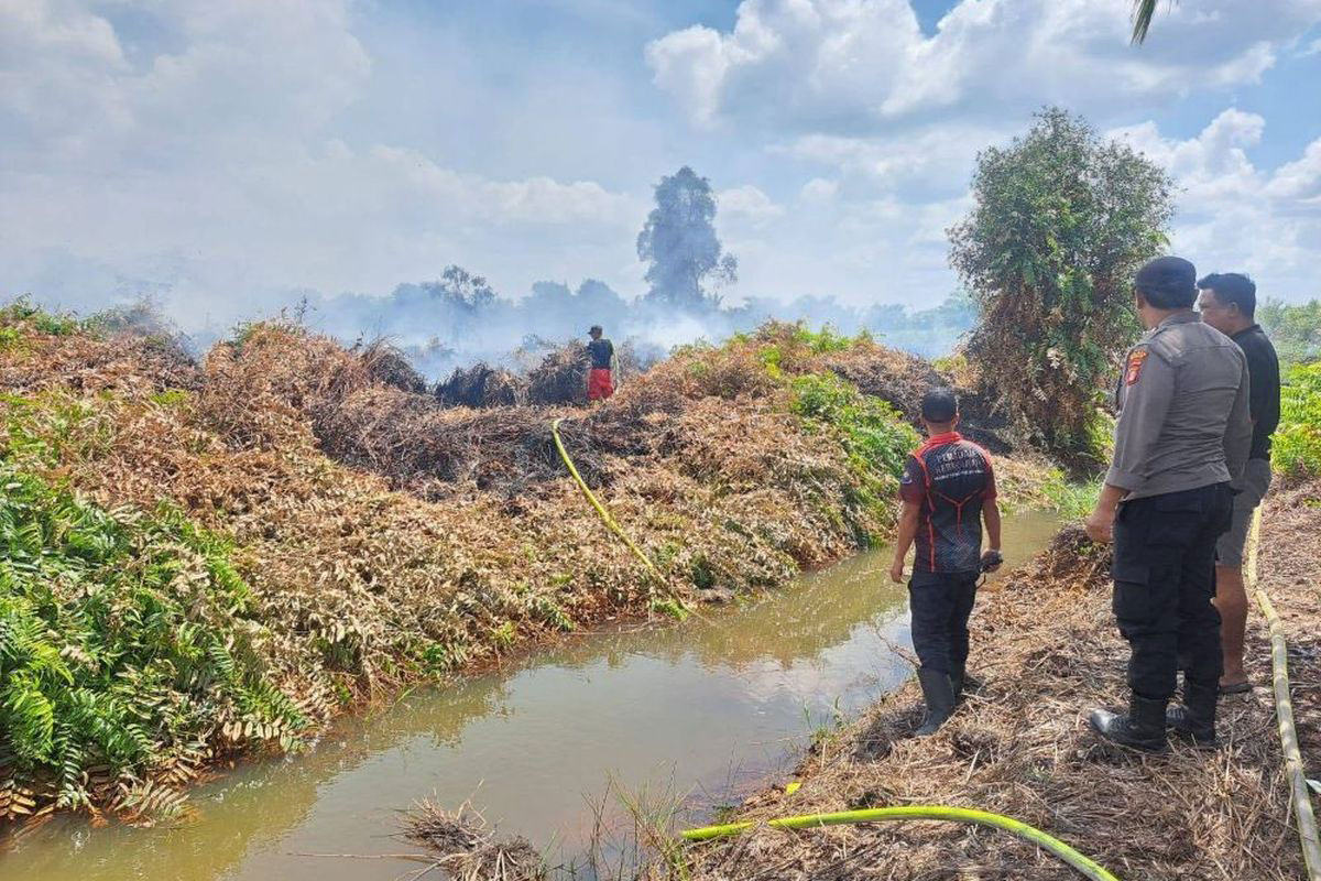 Karhutla di Kalimantan, Malaysia Terdampak Kabut Asap