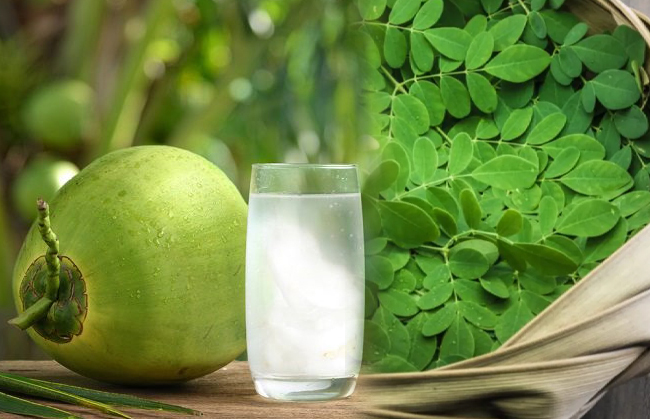 Daun Kelor Plus Air Kelapa Muda, Paru-paru Bersih, Kotoran Asap Rokok Hilang, Ingat Cukup Minum 1 Kali Sehari!