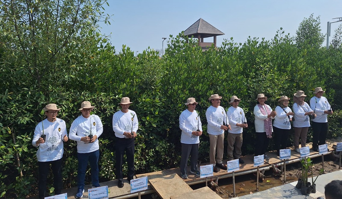 Bukit Asam (PTBA) Kolaborasi dengan Pemerintah, Lakukan Aksi Tanam Mangrove sebanyak 15 Ribu 