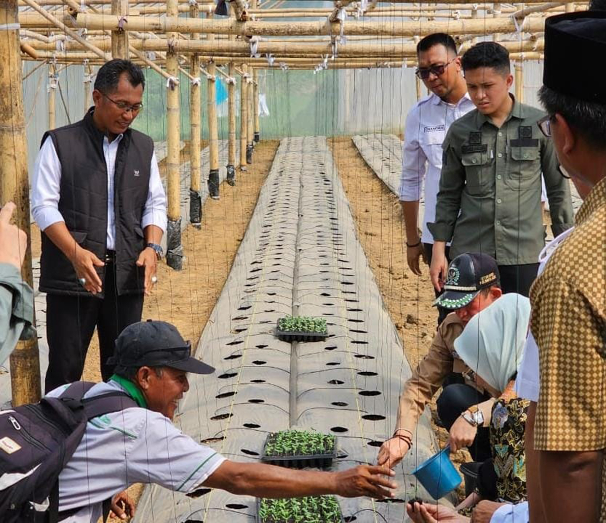 WOW! Jadi Destinasi Wisata Buah, 6.500 Bibit Melon Didatangkan Dari Luar Negeri