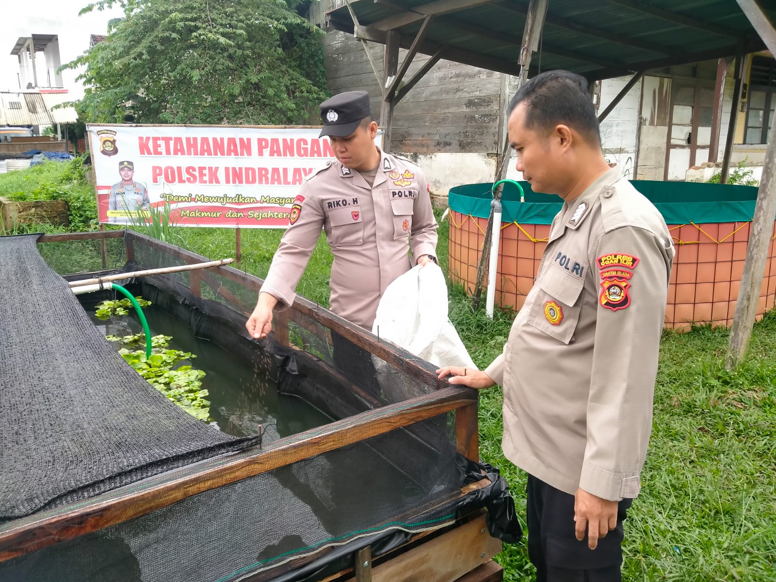 LUAR BIASA! Polsek Indralaya Ogan Ilir Budidaya Ikan di Pekarangan Mako, Ada Patin Hingga Gurami