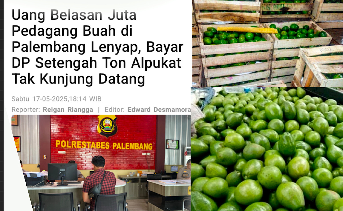 Bukan Tertipu, Korban Beli Buah Alpukat Setengah Ton Tak Kunjung Datang Sudah Sering Pesan Sama Terlapor