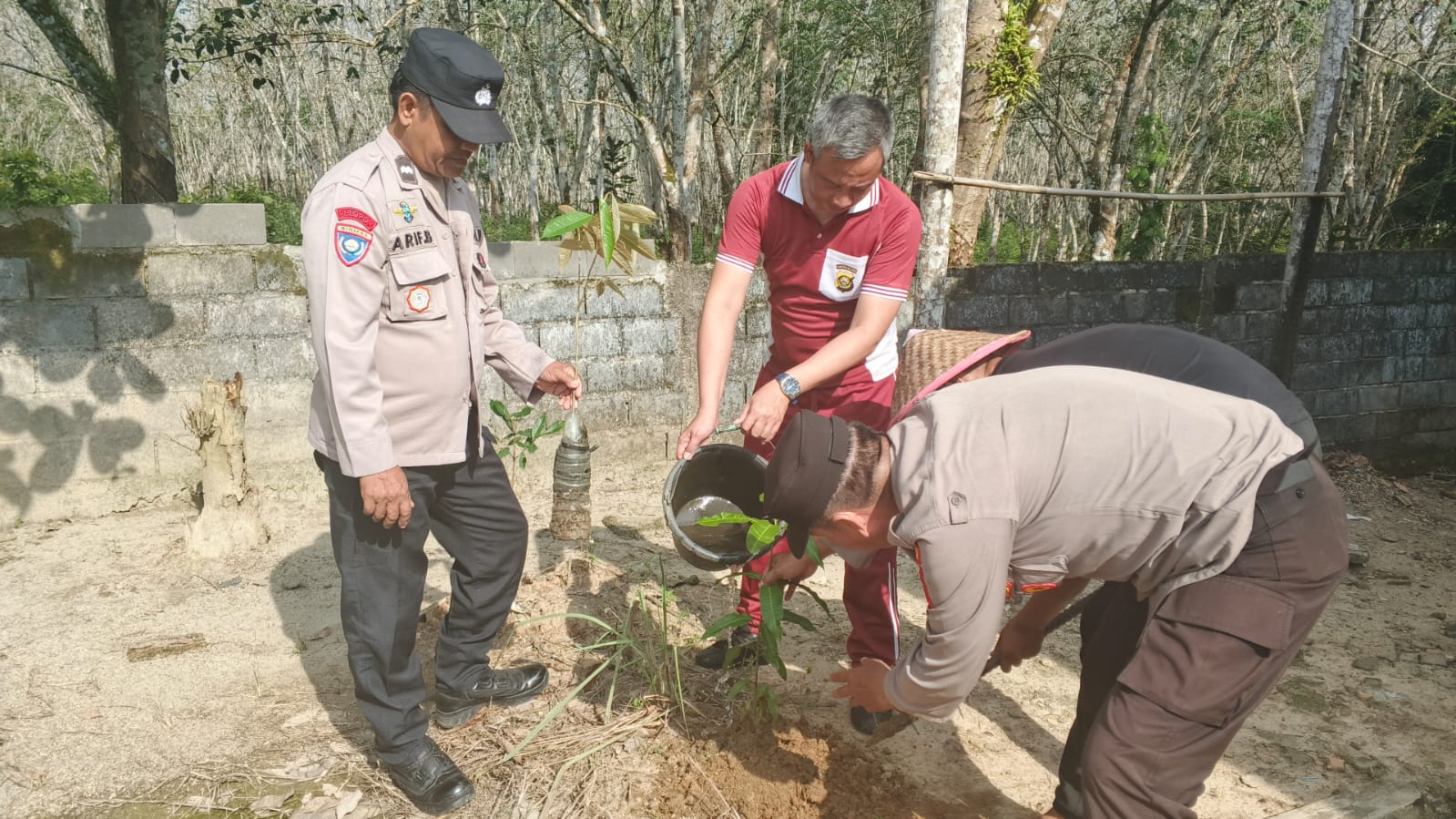 Ratusan Bibit Pohon Ditanam, Polda Sumsel Perkuat Budaya Hidup Sehat