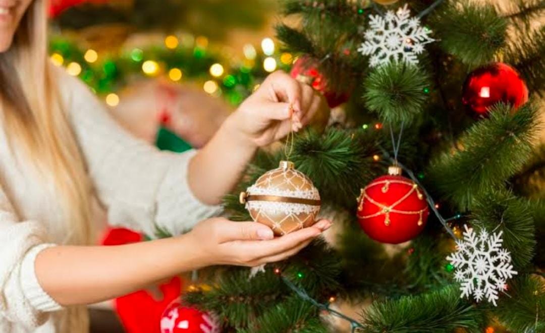 Yuk Simak 5 Fakta Unik Yang Jarang Orang Lain Tahu Tentang Pohon Natal, Nomor 5 Bikin Takjub