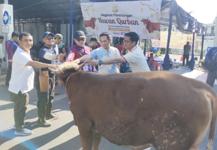 Tebar Semangat Iduladha 1447 H, Kejari Palembang Kurban 7 Sapi dan 2 Kambing Dibagikan untuk Ratusan Warga