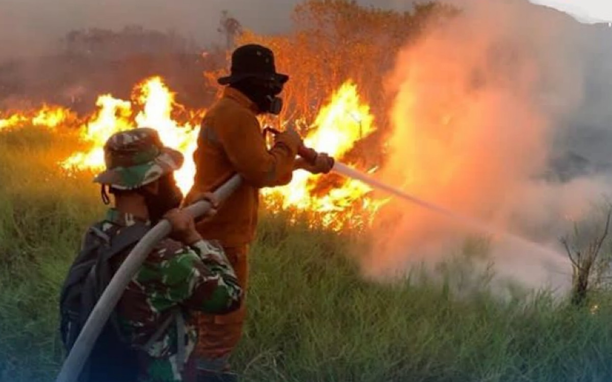 Kejati Sumsel Terima 11 SPDP Kasus Kebakaran Lahan dan Hutan, Semua Tersangka Perorangan Belum Ada Korporasi