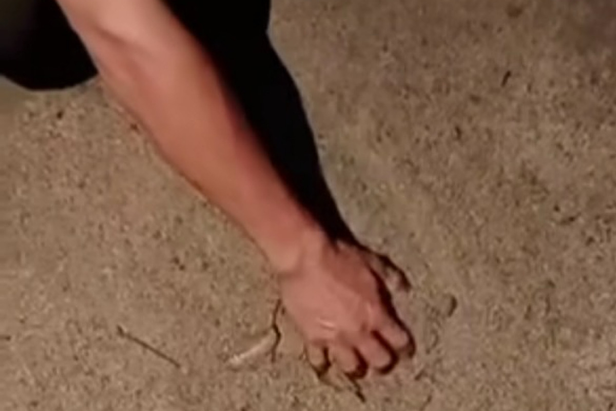 Pembangunan Jalan Lingkar Paya Agung Disoal