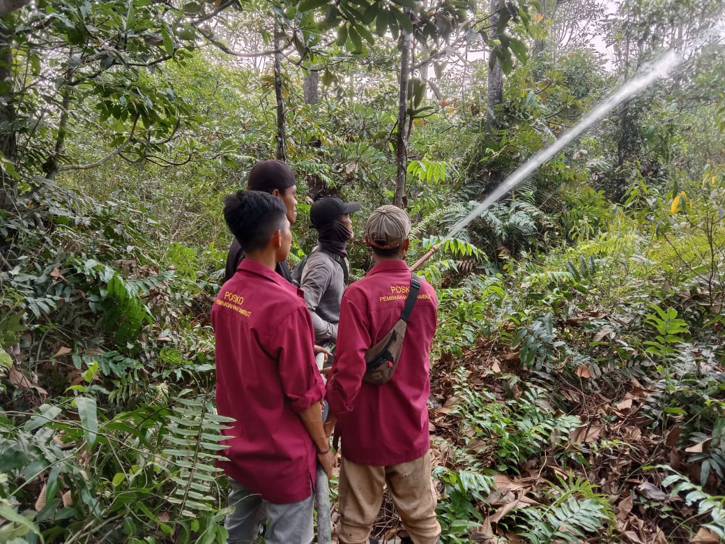 Antisiapasi Karhutla, UPTD KPH Lakukan Pembasahan Kebun Plasma Nutfah