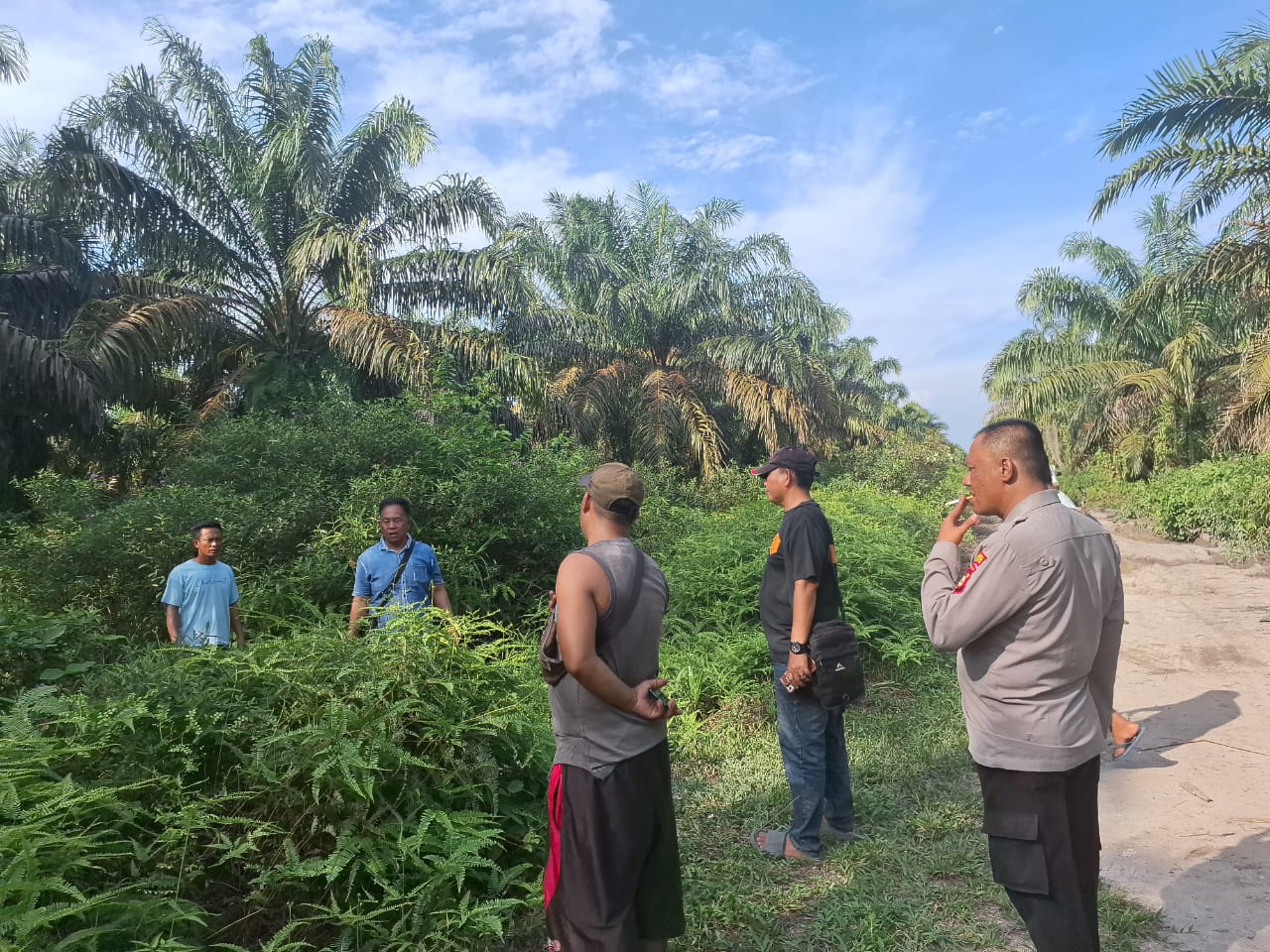 Polsek Sungai Menang Imbau Warga untuk Tidak Menjaga Lahan Kelapa Sawit Bukan Miliknya