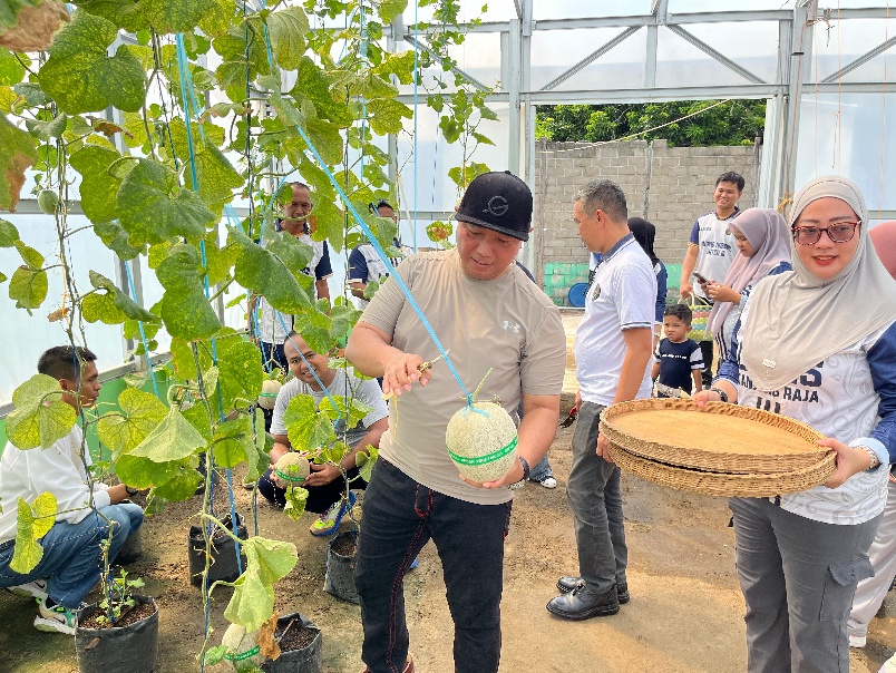 Panen Perdana Melon di Green House Lapas Tanjung Raja Ogan Ilir, Dukung Program Ketahanan Pangan