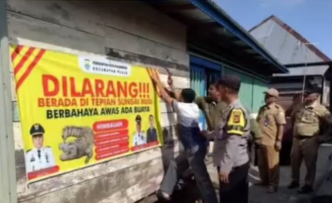 Awas Ada Buaya, Kecamatan Plaju Imbau Warga Larang Berada di Tepian Sungai Musi 