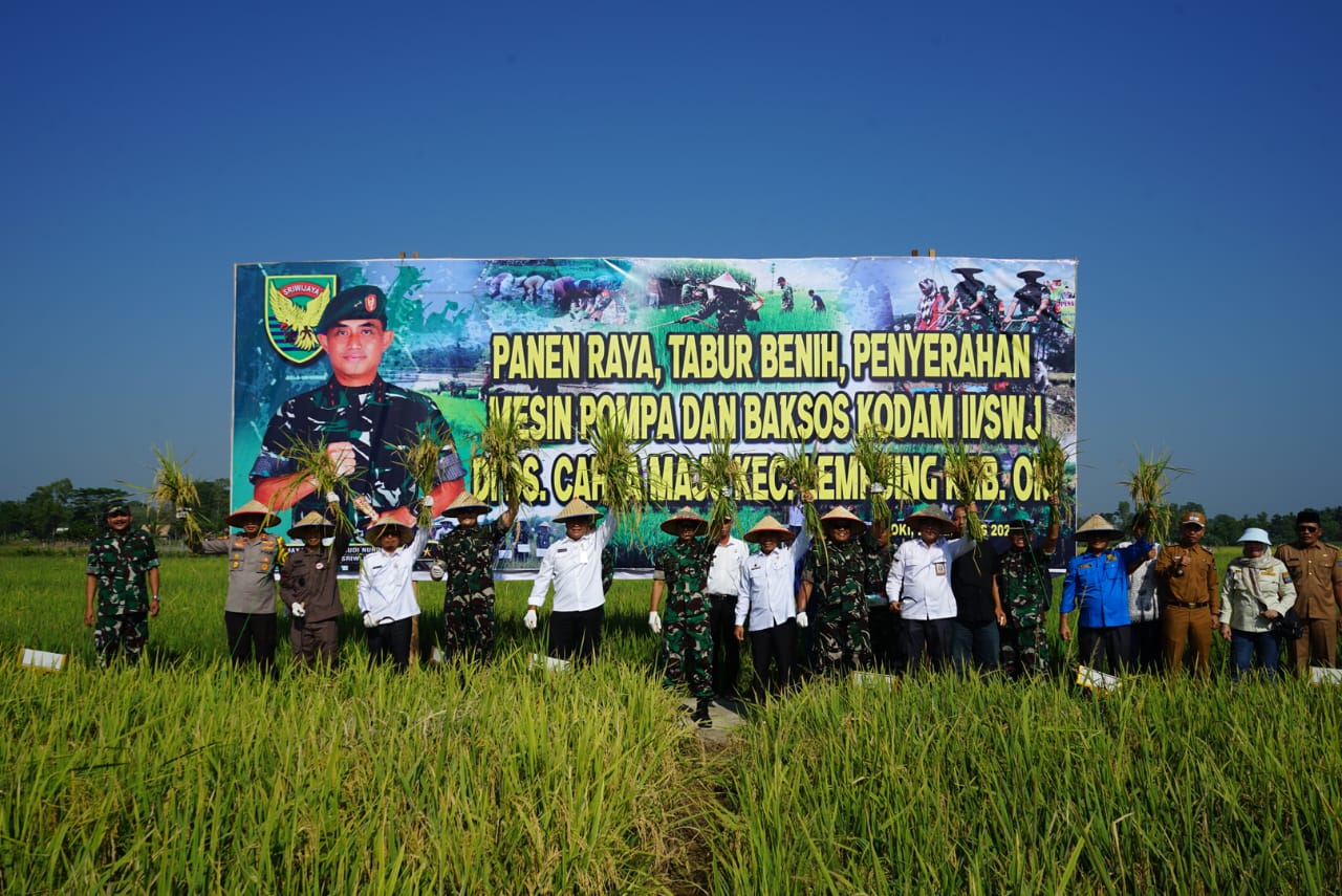 Pangdam II/Sriwijaya Ikut Panen Raya Padi di Desa Cahaya Maju OKI, Sukseskan Swasembada Pangan