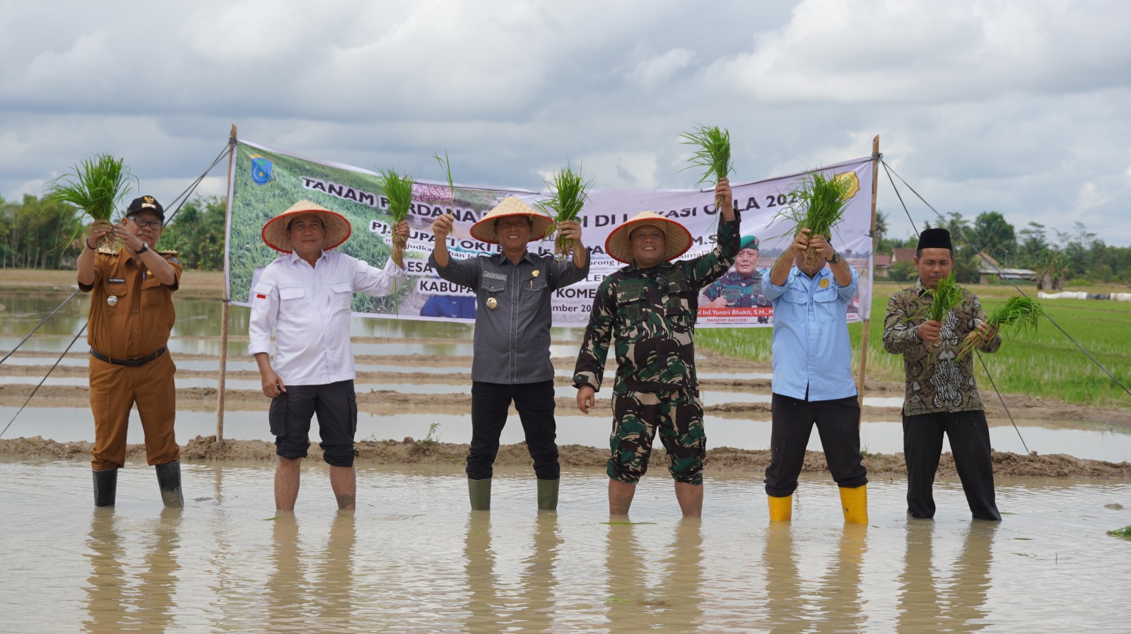 Kebut Optimasi Lahan, Petani OKI  Tanam Padi IP 300