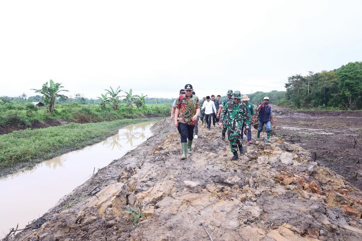 Oplah Cempaka OKU Timur Melesat, Panen 3 Kali Setahun! Bupati Enos Optimis Kesejahteraan Petani Meningkat