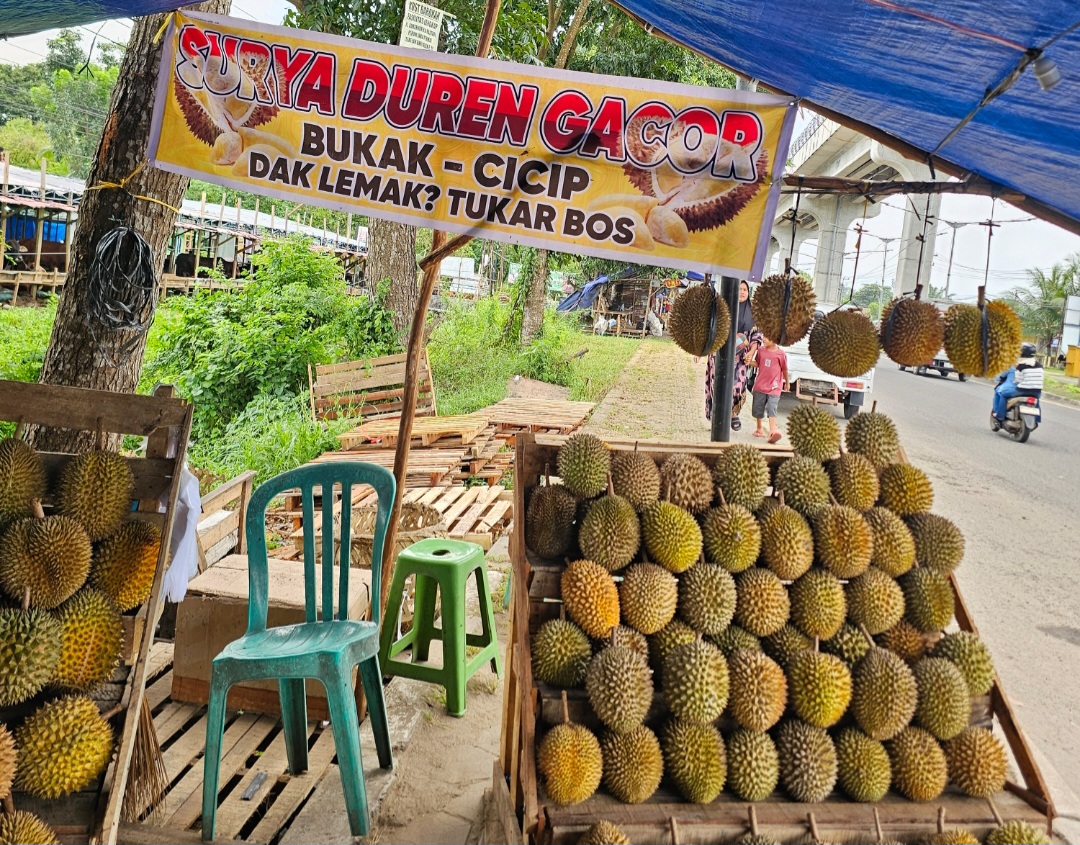 Surya Durian Gacor Jakabaring Tawarkan Durian Pilihan, Harga Terjangkau