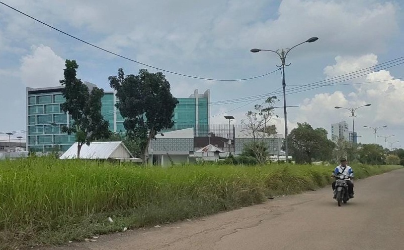 Rumput Ilalang Tumbuh Subur di Kawasan Bekas Wisma Atlet Jakabaring
