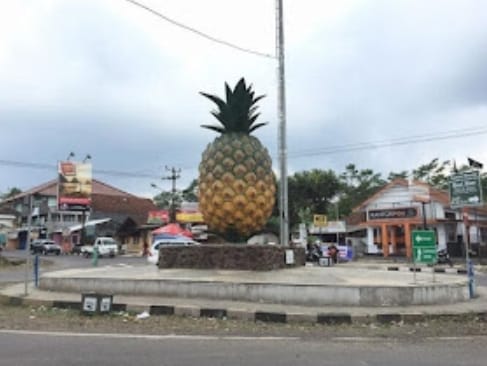 Ternyata Ini Daerah Penghasil Nanas Terbesar di Sumatera Selatan, Prabumulih Peringkat 3