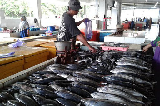 Viral! Penjual Ikan Temukan Kaleng Soda dalam Perut Ikan Kod