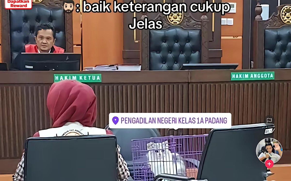 UNIK, Baru Kali Ini Terjadi Kucing Jadi ‘Saksi Korban’ Sidang Dicekoki Miras, Saksi Gemoy Bikin Netizen Gemes!