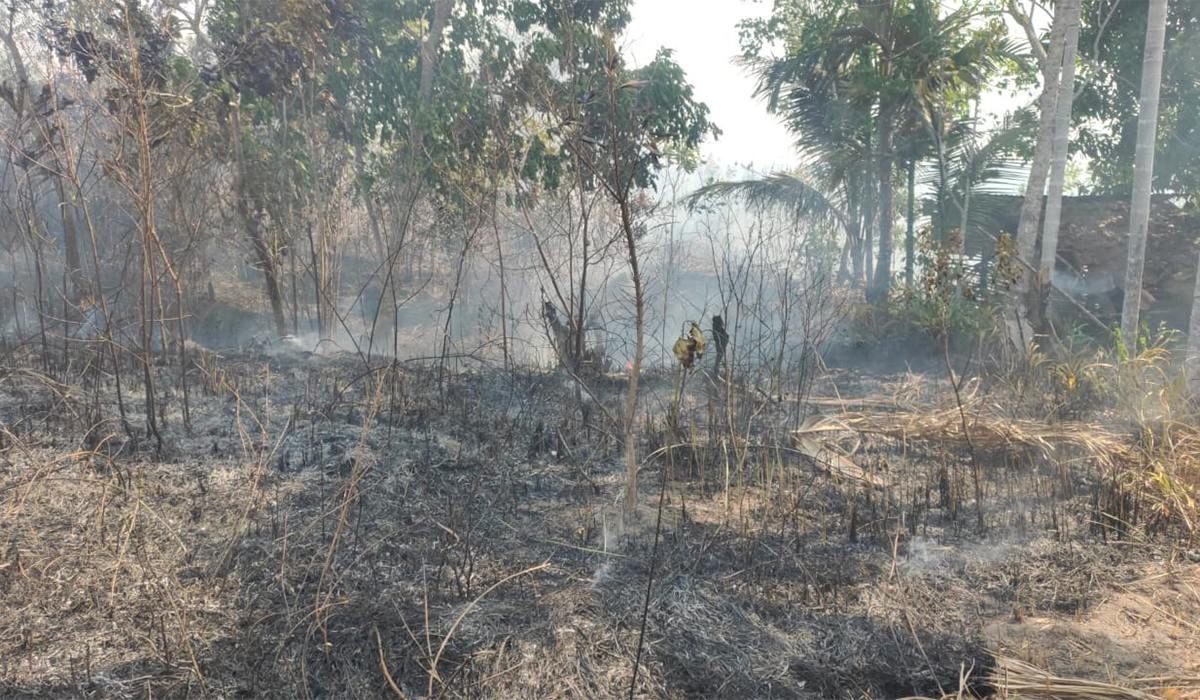 MasyaAllah! Akibat Kemarau Panjang, Karhutla Nyaris Hanguskan Rumah Warga, 3 Hektar Lahan Terbakar