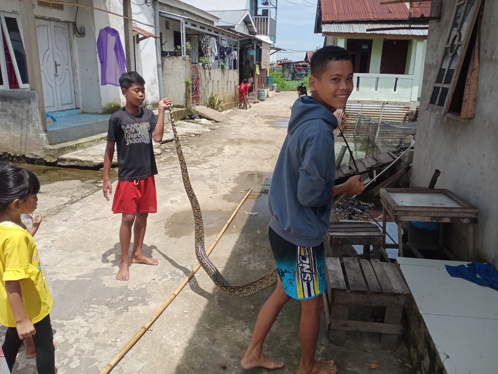 Lihat Ada yang Gerak-gerak Saat Hendak ke Warung, Imbas Hujan Semalaman Pelajar di Palembang Dapat Ular Piton 