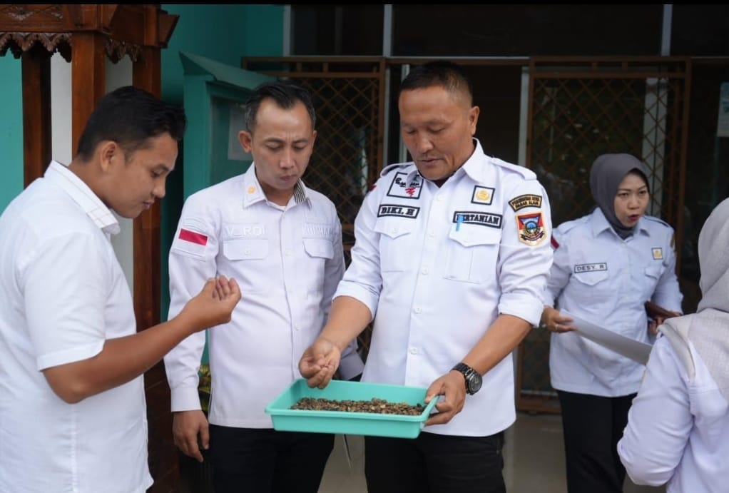 Perkuat Perlindungan Produk Lokal, Kemenkum Sumsel Fokus pada IG Kopi Raden Kuning dan Jeruk Gerga Pagaralam