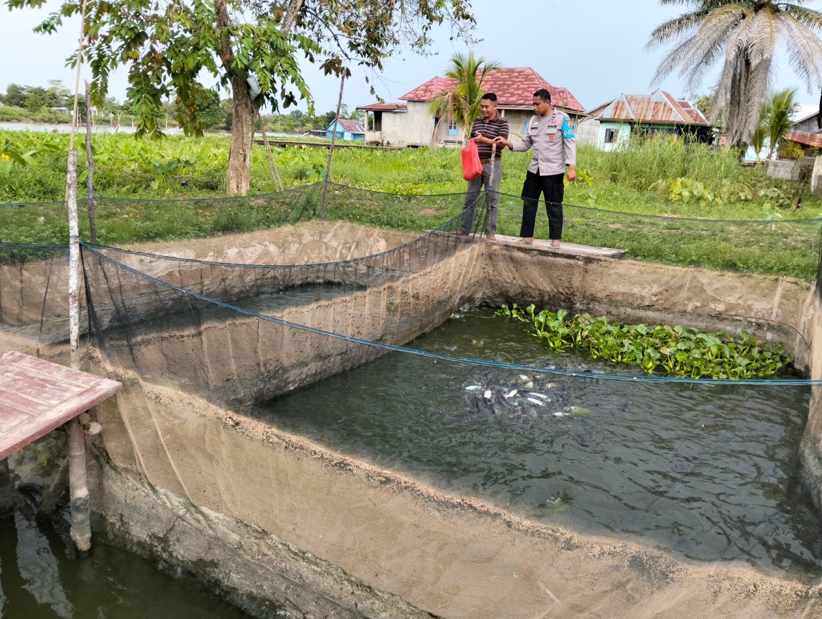 Polsek Pemulutan Ogan Ilir Kembangkan Ternak Ikan Dukung Program Ketahanan Pangan