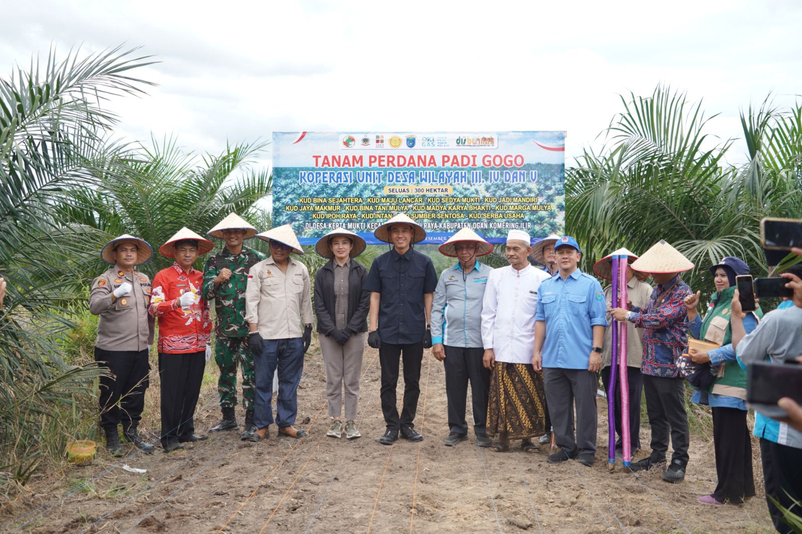 Dukungan Ketahanan Pangan, Lahan PSR OKI Dimanfaatkan untuk Padi Gogo