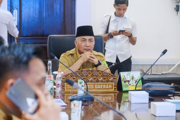 Pemkab Muba Ikuti Rakor Wilayah TP2DD Tahun 2025