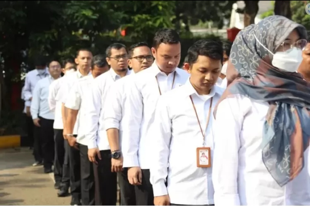 Wajib Tahu! Tenaga Honorer Ini Langsung Dicoret Pengangkatan PPPK oleh BKN, Kenapa!