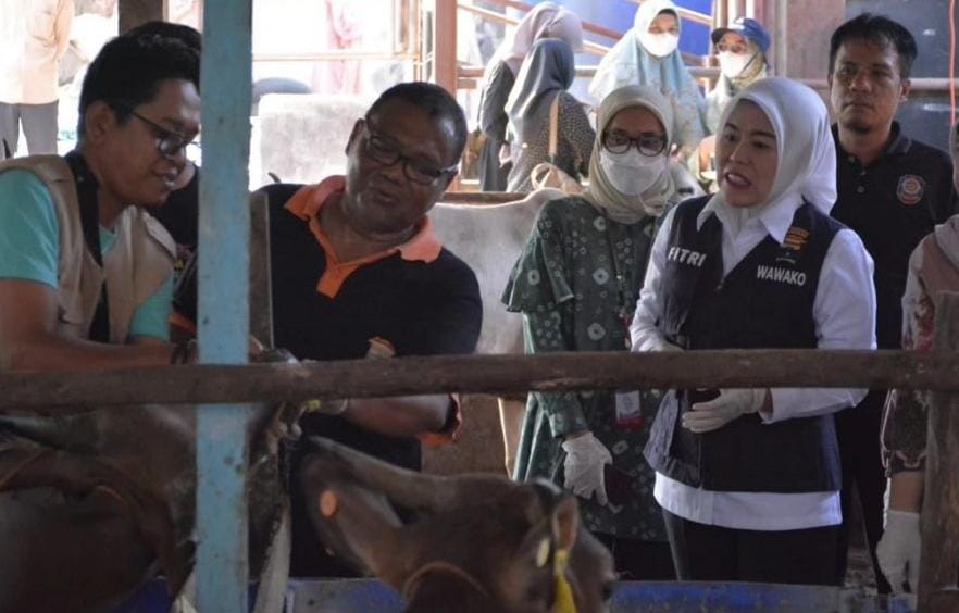 Wawako Palembang Fitrianti Agustinda Sidak Peternakan Di Soak Simpur, Tidak Ditemukan Hewan Bermasalah 