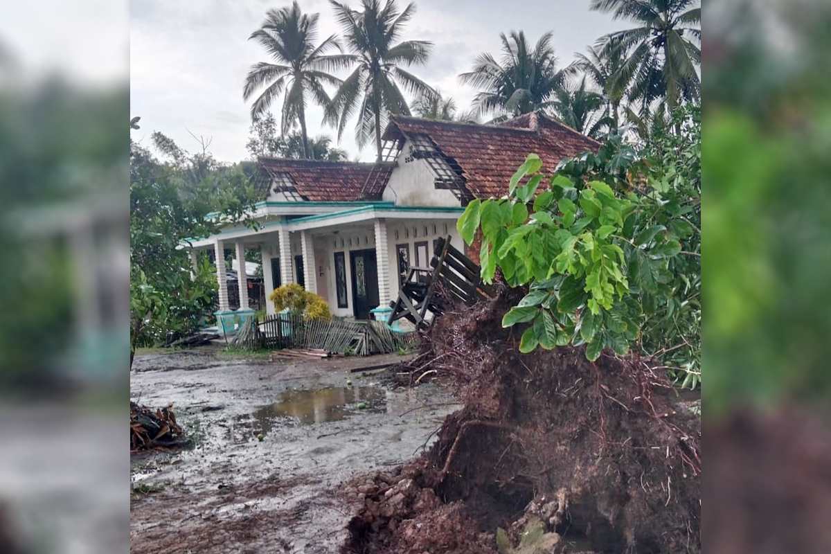 UPDATE! Dampak Angin Puting Beliung, 50 Rumah Warga Muara Telang Alami Kerusakan, Ini Rinciannya