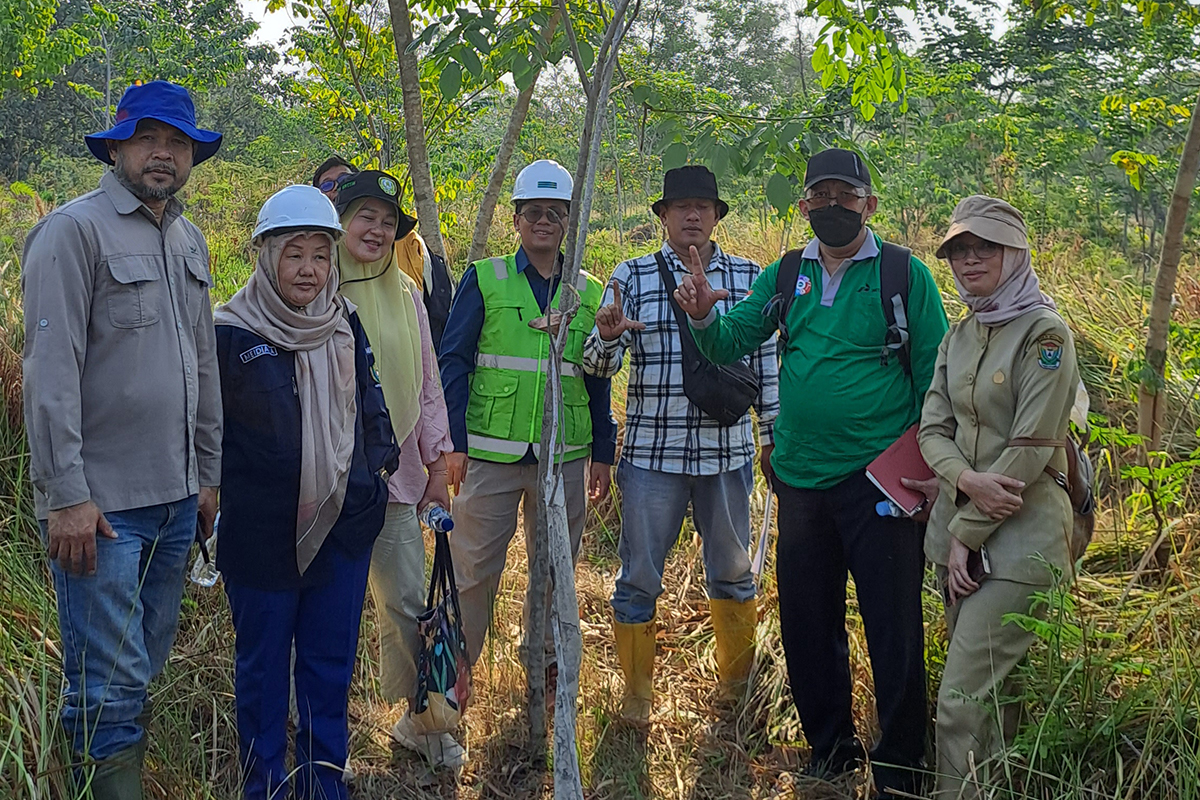 PT Bukit Asam Sukses Pulihkan Daerah Aliran Sungai 234 Hektare di Muara Enim