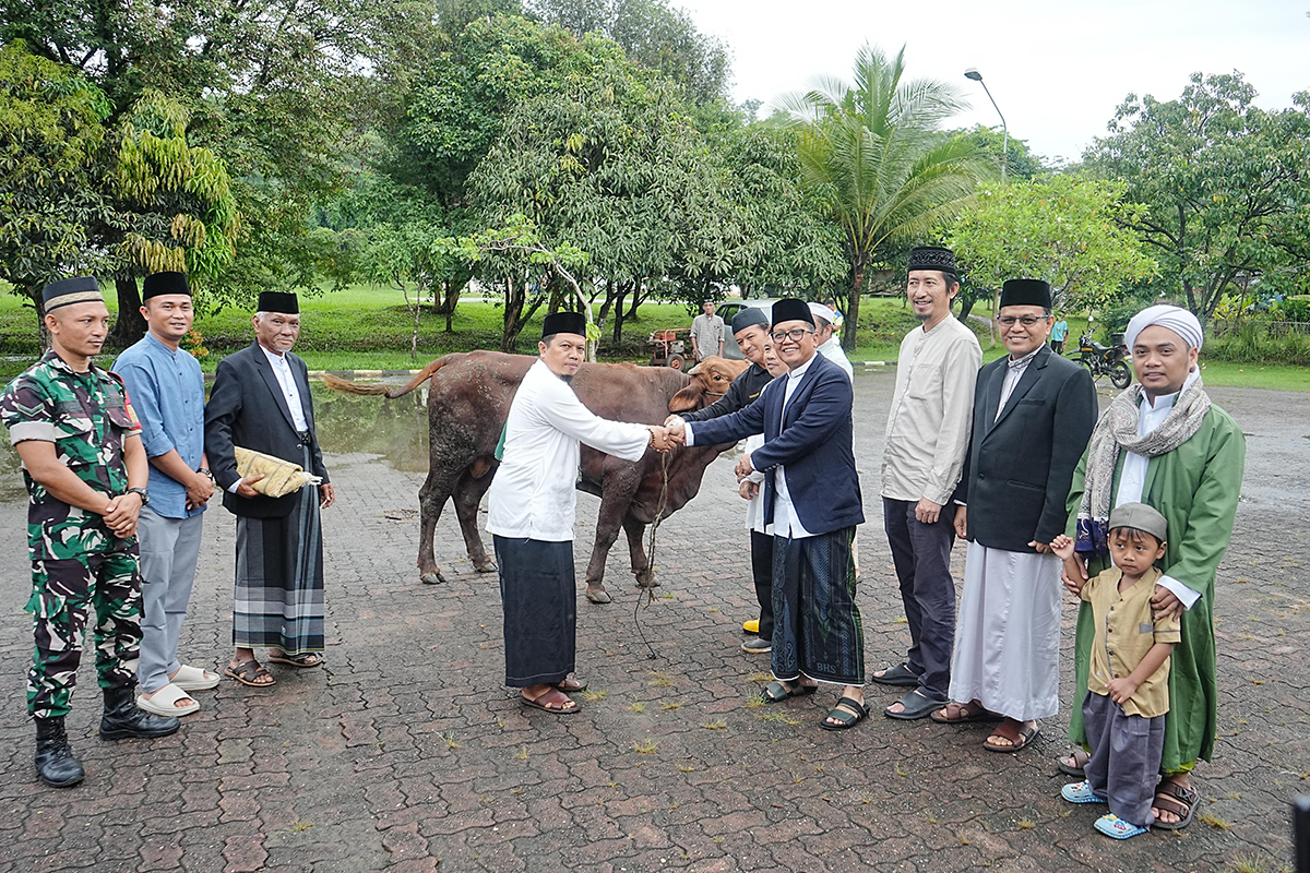 PT Bukit Asam Salurkan 292 Hewan Kurban di Idul Adha 1446 H sebagai Wujud Komitmen Sosial BUMN