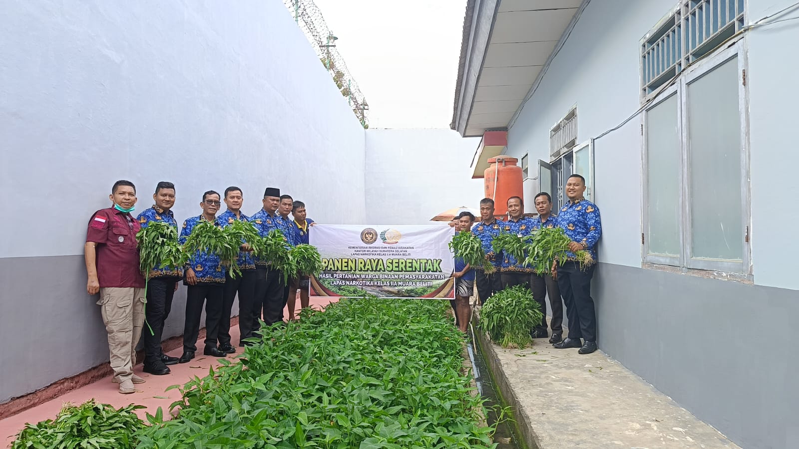 Lapas Narkotika Kelas IIA Muara Beliti Berhasil Panen Kangkung untuk Dukung Ketahanan Pangan Nasional