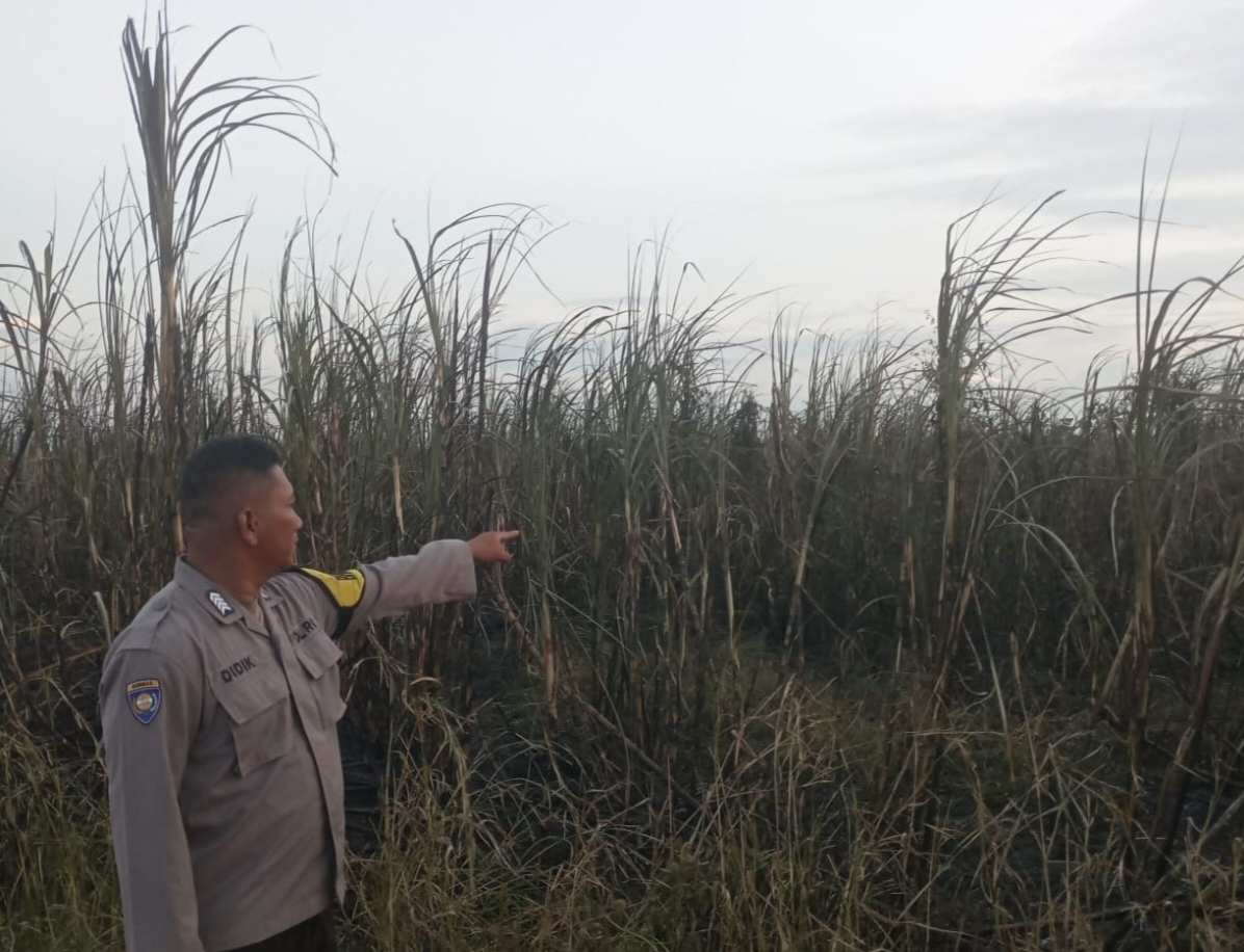 Titik Panas Terdeteksi di Lokasi Kebun Tebu PTPN VII Cinta Manis Ogan Ilir, Polsek Tanjung Batu Cek Lokasi