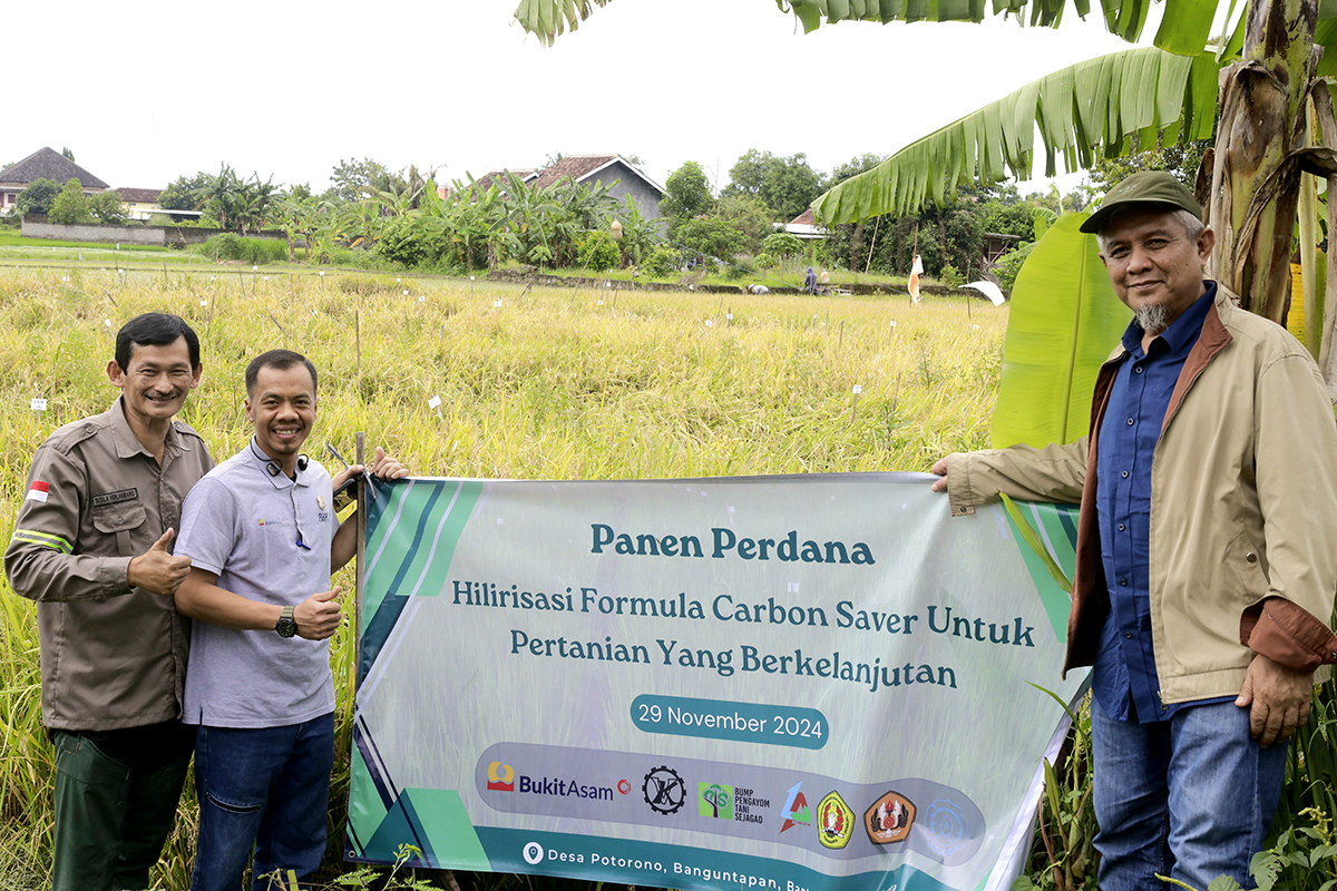 Gandeng Perguruan Tinggi hingga Petani, PTBA Kembangkan Inovasi Pertanian Berkelanjutan dengan Carbon Saver