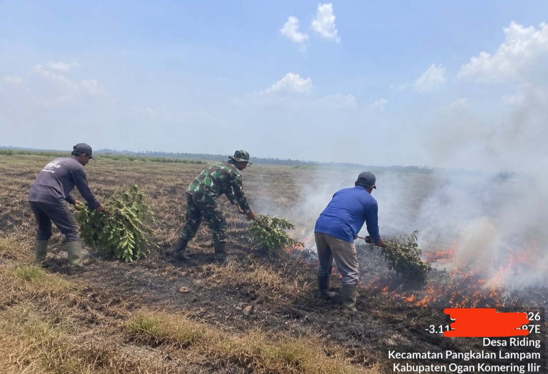 8 Hektar Lahan Terbakar di Desa Riding Pampangan OKI Berhasil Dipadamkan Babinsa