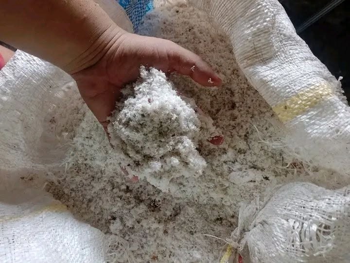 5 Cara Mengolah Ampas Kelapa Jadi Pupuk Organik, Murah dan Ramah Lingkungan 