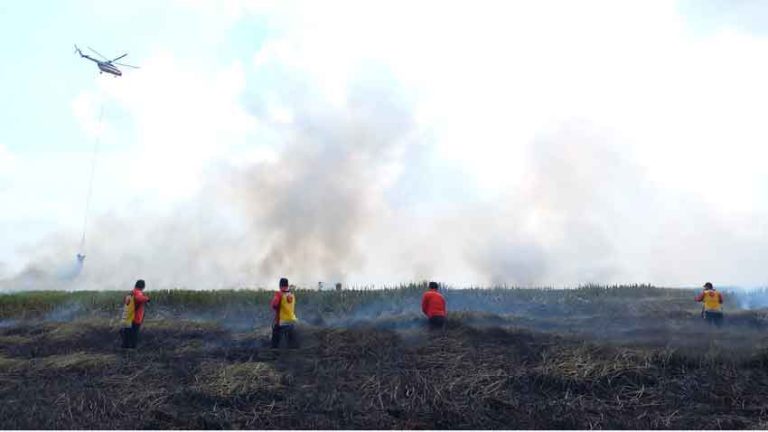 Permukaan Gambut di Desa Kayulabu OKI Terbakar Meluas 2 Hektare