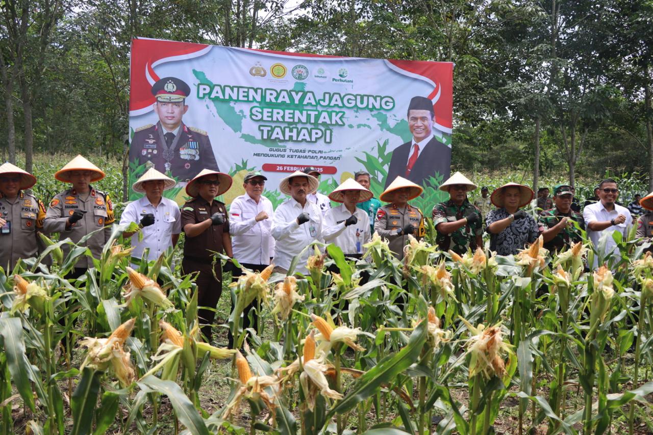 Kapolda Sumsel Hadiri Panen Raya Jagung Program Ketahanan Pangan di Ogan Ilir