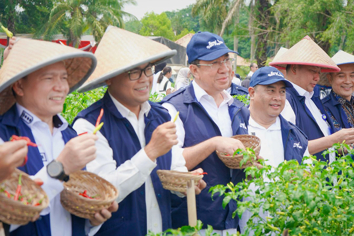 SMK Negeri 1 Gelumbang Jadi Pilot Project GSMP, Panen Raya Cabai Bukti Kemandirian Pangan