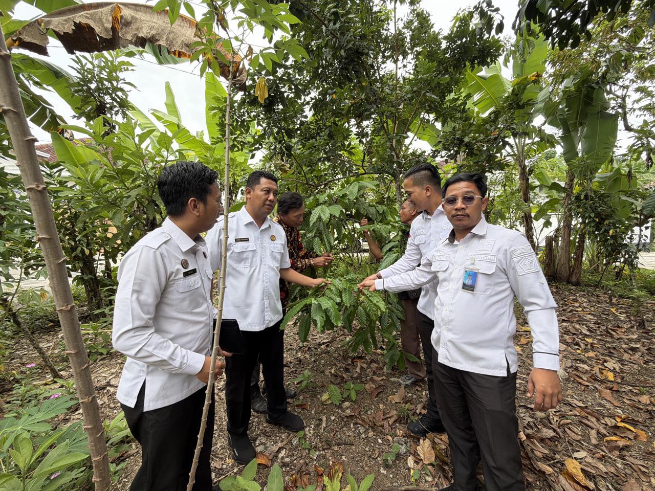 Kopi Robusta Muara Dua Siap Mendunia, Kemenkum Sumsel Turun Tangan Jaga Kualitas!