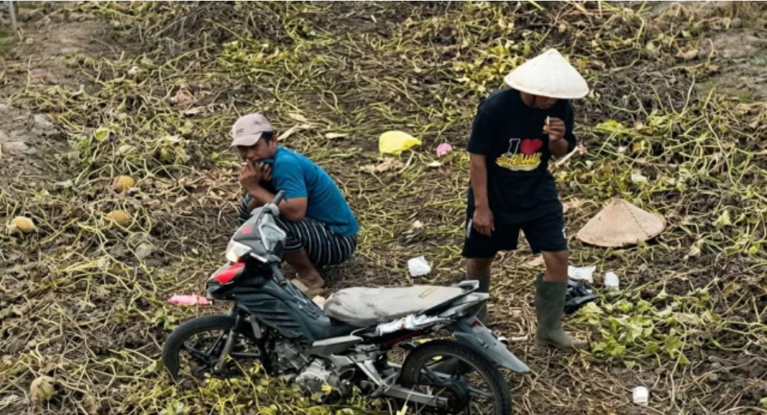 Polres OKI Selidiki Video Drone Dugaan Pembakaran Lahan di OKI