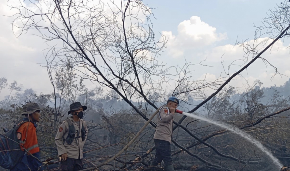 Kebakaran 4 Hektare Lahan Gambut di Ogan Ilir, Petugas Kesulitan Lakukan Pemadaman