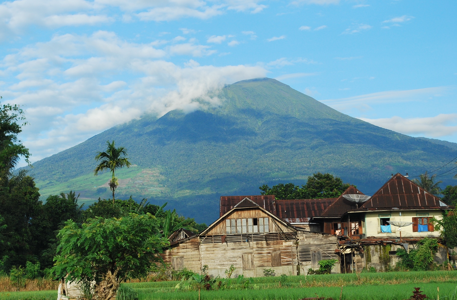 Semeru Meletus, Seismig Gunung Dempo Nihil