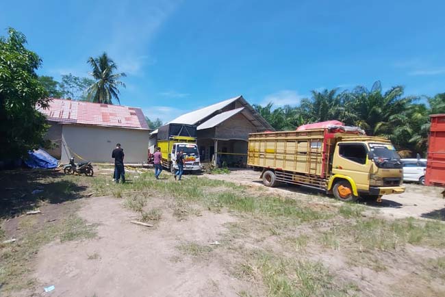 153.450 Ribu Ekor Benur Hasil Sitaan Langsung Dilepasliarkan di Lampung