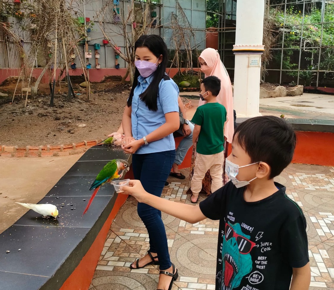 Seru, Kasih Makan dan Kenalkan Anak Tentang Hewan