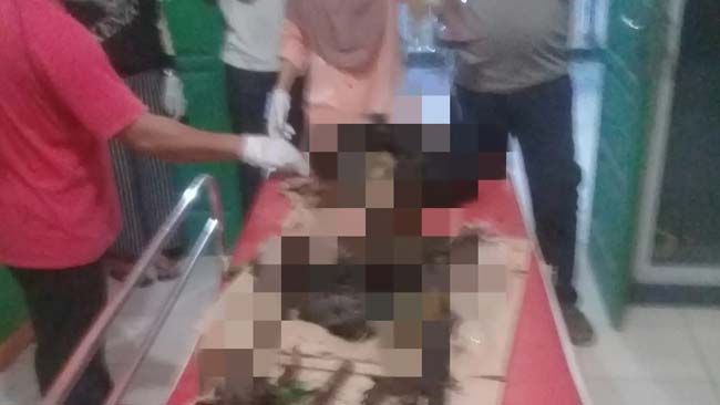 Ambil Rumput, Warga Temukan Tulang Manusia Tanpa Kepala di Bawah Jembatan